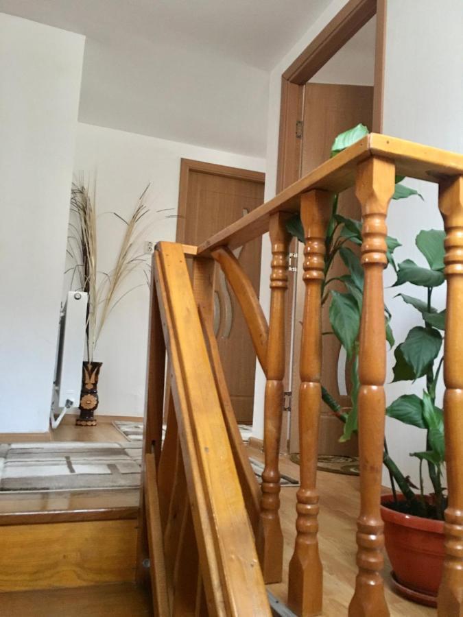 Cabana Baraj Apuseni Mountains Mihoesti Εξωτερικό φωτογραφία
