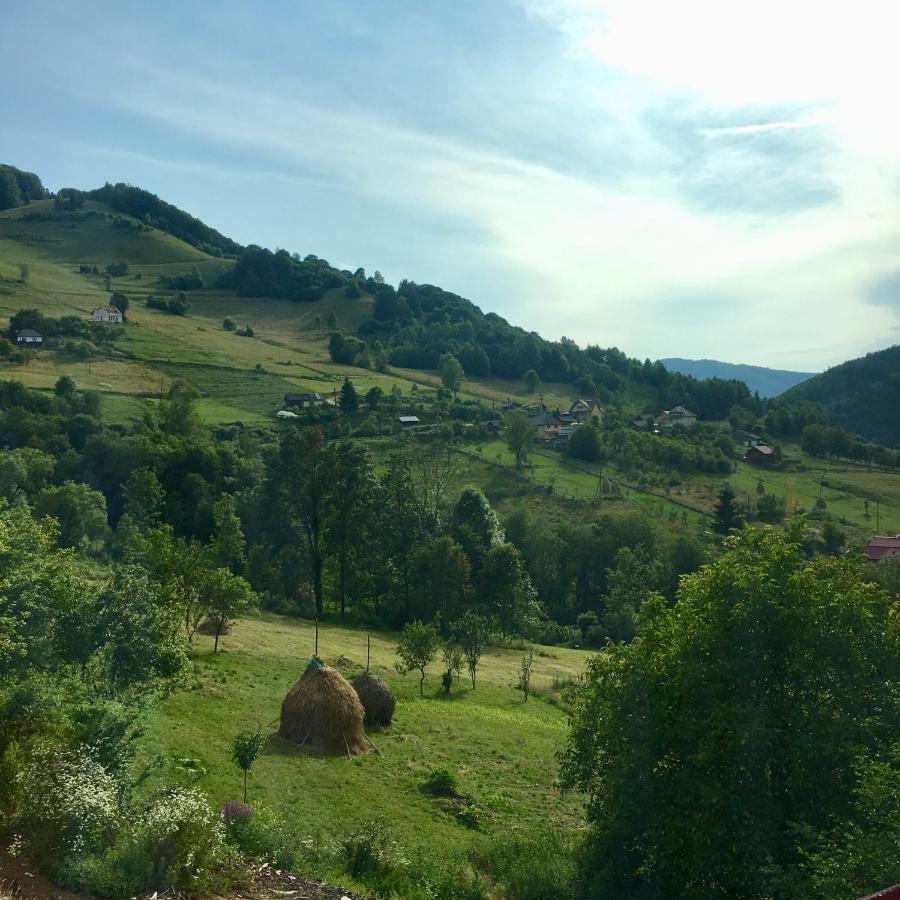 Cabana Baraj Apuseni Mountains Mihoesti Εξωτερικό φωτογραφία