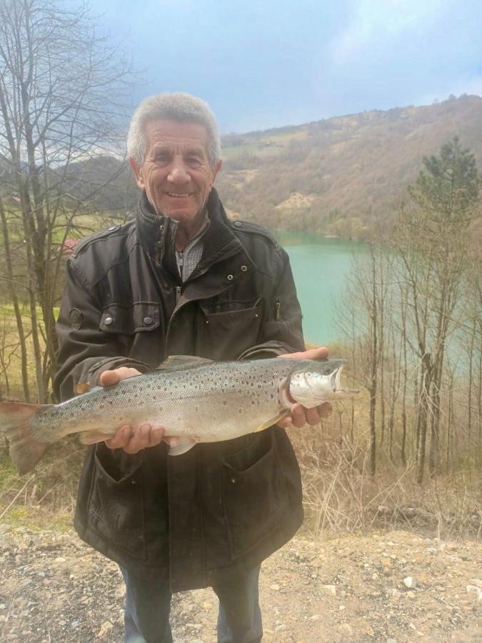 Cabana Baraj Apuseni Mountains Mihoesti Εξωτερικό φωτογραφία