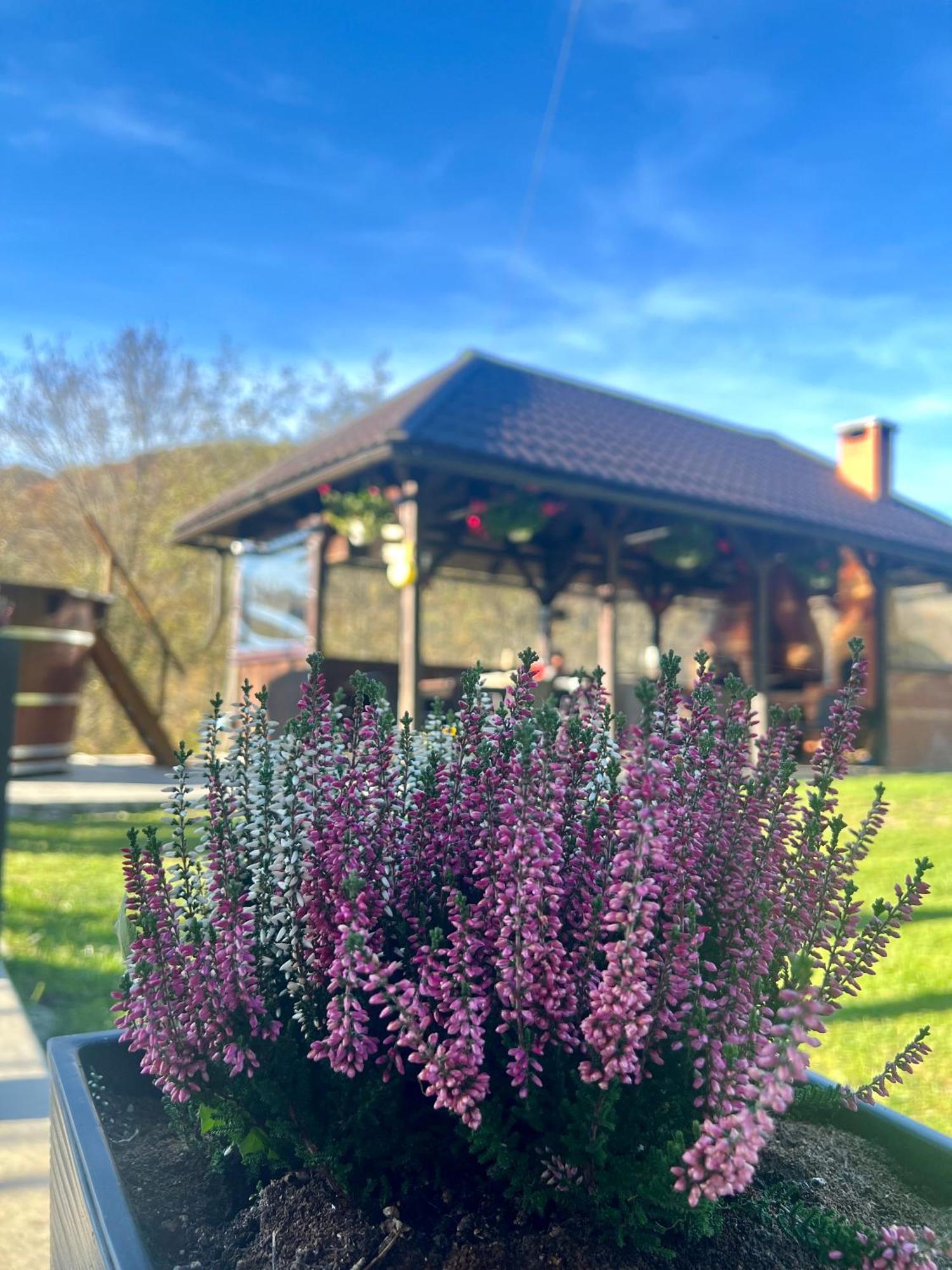 Cabana Baraj Apuseni Mountains Mihoesti Εξωτερικό φωτογραφία
