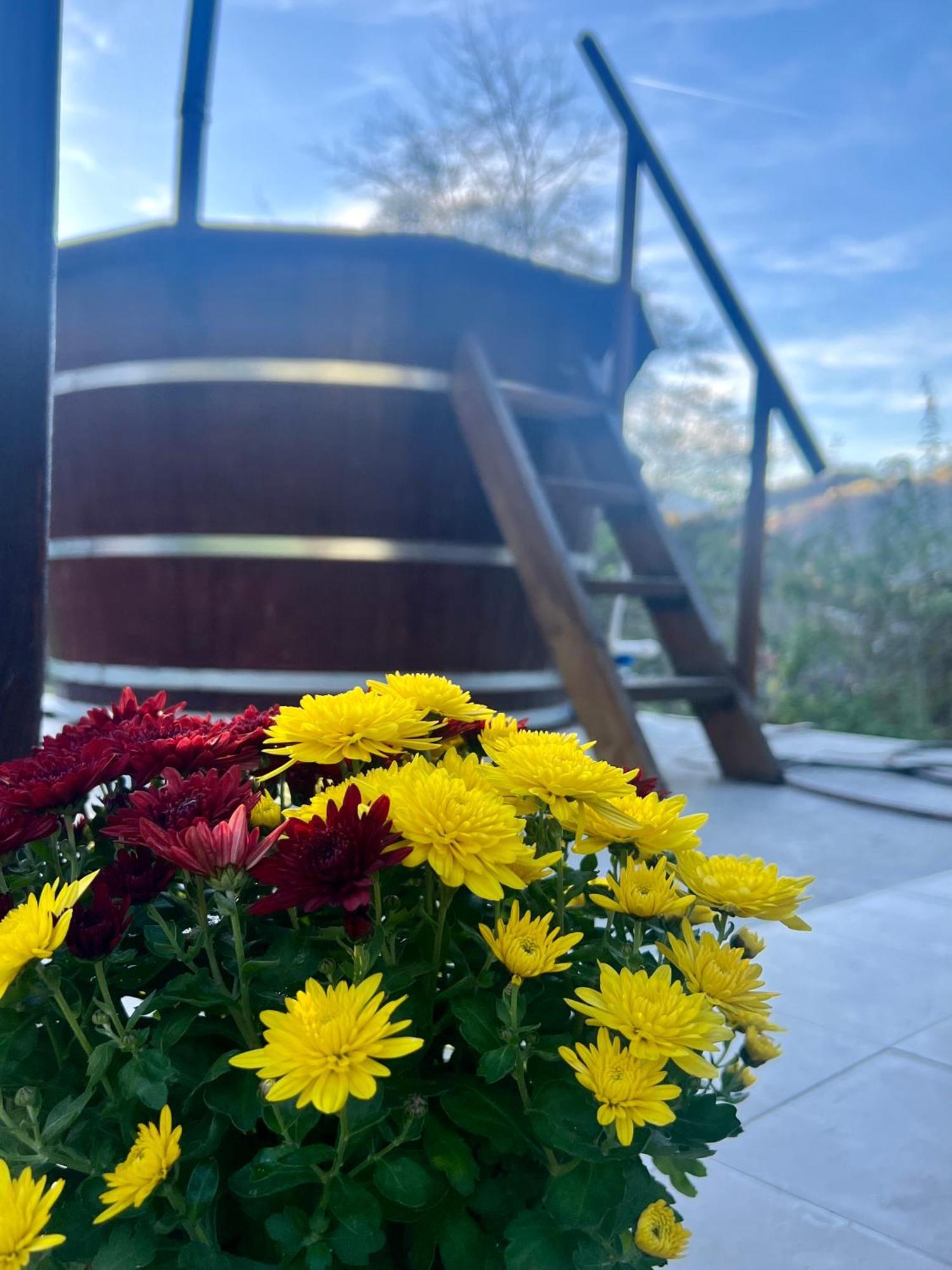 Cabana Baraj Apuseni Mountains Mihoesti Εξωτερικό φωτογραφία